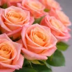 Букет персиковых роз - Мисс Пигги 2
